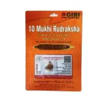 Rudraksha Beads 13 Face Java-Golden Cup Rudraksha Beads 13 Face Java-Golden Cup