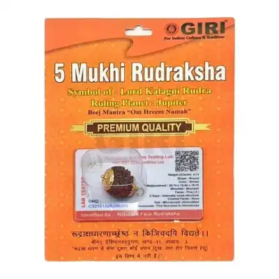 Rudraksha Beads 5 Face Nepali-Golden Cup Rudraksha Beads 5 Face Nepali-Golden Cup