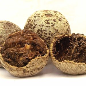 Wood Apple / Vilampazham