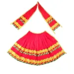 Amman Pavadai - 9 Inch - 200_5