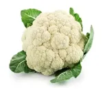 Cabbage single piece – (app 700g) Cabbage single piece – (app 700g)