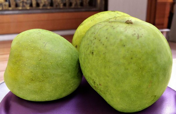 Malgova Mangoes