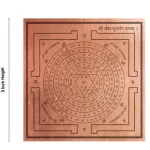 Sudarshana_4