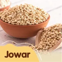 Jowar