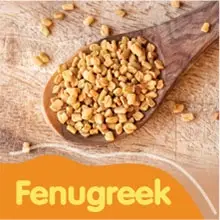 Fenugreek