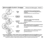 Sri Ramayana - (Tri-lingual) Activity Book for Kids_3