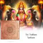Sudharsana Maha Chakra