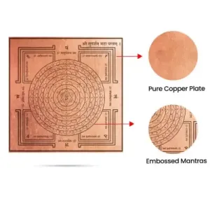 Sudharsana Maha Chakra