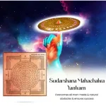 Sudharsana Maha Chakra_3
