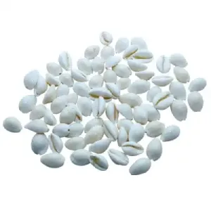White Chozhi - Bpr - 0.100 Kgs