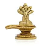 AF Shivalingam with Nagam Polised - 0.230 Kgs_3