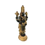 Balaji - Resin Black_3