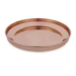 C_R Plate Hariwanaa 11 Inch No_13 (0.460 Kgs)_3