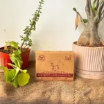 Organic Herbal Cup Sambrani from Cow Dug