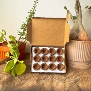 Organic Agnihothra Cup Sambrani from Cow Dug