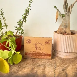 Organic Herbal Cup Sambrani from Cow Dug