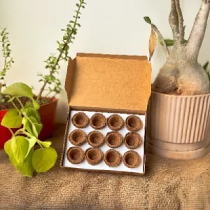 Organic Herbal Cup Sambrani from Cow Dug