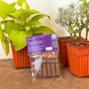 Organic Lavander Dhoop Sticks from Cow Dug