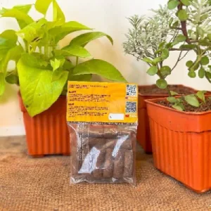 Organic Manoranjitham Dhoop Sticks from Cow Dug