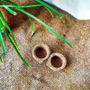Organic Panchaghaviya Diya from Cow Dug