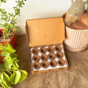 Organic Rose Cup Sambrani from Cow Dug