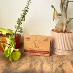 Organic Lavander Cup Sambrani from Cow Dug