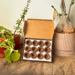 Organic Sandal Cup Sambrani from Cow Dug