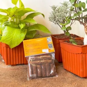 Organic Sandal Dhoop Sticks from Cow Dug