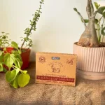 Organic Herbal Cup Sambrani from Cow Dug