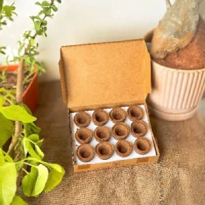 Organic Special Cup Sambrani from Cow Dug