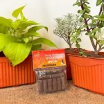 Organic Special Dhoop Sticks from Cow Dug_1