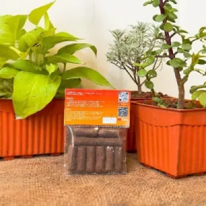 Organic Special Dhoop Sticks from Cow Dug