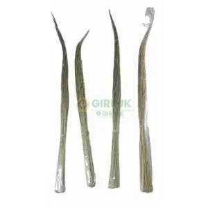 Blade of Darbhai Grass (Nuni Darbhai)-(Pack of 4)