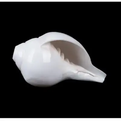 Blowing Shankh – 3×6 Inch Blowing Shankh – 3×6 Inch