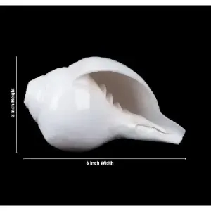 Blowing Shankh – 3×6 Inch Blowing Shankh – 3×6 Inch