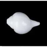 Blowing Shankh – 3×6 Inch_3