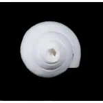 Blowing Shankh – 3×6 Inch_4