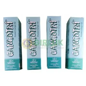 Gangotri Gangajal Bottel - 1000 ml-(Pack of 4)