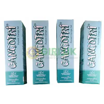 Gangotri Gangajal Bottel – 1000 ml-(Pack of 4) Gangotri Gangajal Bottel – 1000 ml-(Pack of 4)