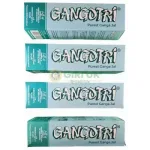 Gangotri Gangajal Bottel – 1000 ml-(Pack of 4)_2