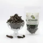 Jatamansi (Spikenard) – 100g-(Pack of 4)_3