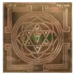 Right Hand Shankh-N
