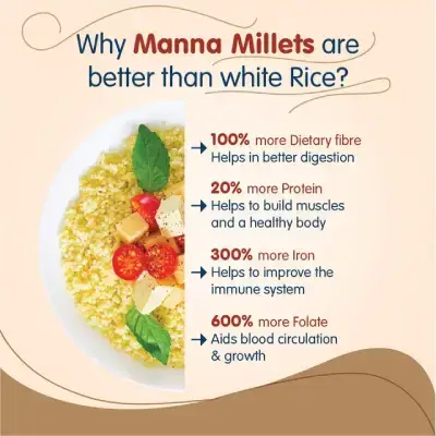 Manna Millets 3kg – Natural Grains Combo Pack of 3 | Foxtail 1kg, Kodo 1kg, Little 1kg | Native Low GI Millet Rice | Nutrient Powerhouse, High Protein & More Fibre Than Rice Manna Millets 3kg – Natural Grains Combo Pack of 3 | Foxtail 1kg, Kodo 1kg, Little 1kg | Native Low GI Millet Rice | Nutrient Powerhouse, High Protein & More Fibre Than Rice