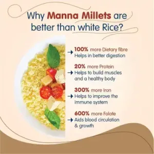 Manna Millets 5kg – Natural Grains Combo | Browntop 1kg, Foxtail 1kg, Kodo 1kg, Little 1kg, Barnyard 1kg| Native Low GI Millet Rice | Nutrient Powerhouse