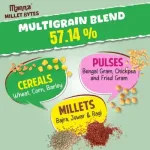 Millet Bytes Sour Cream & Onion – 22g_4